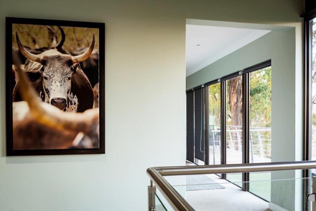 Middelwater Farm Hotel 布隆方丹 外观 照片